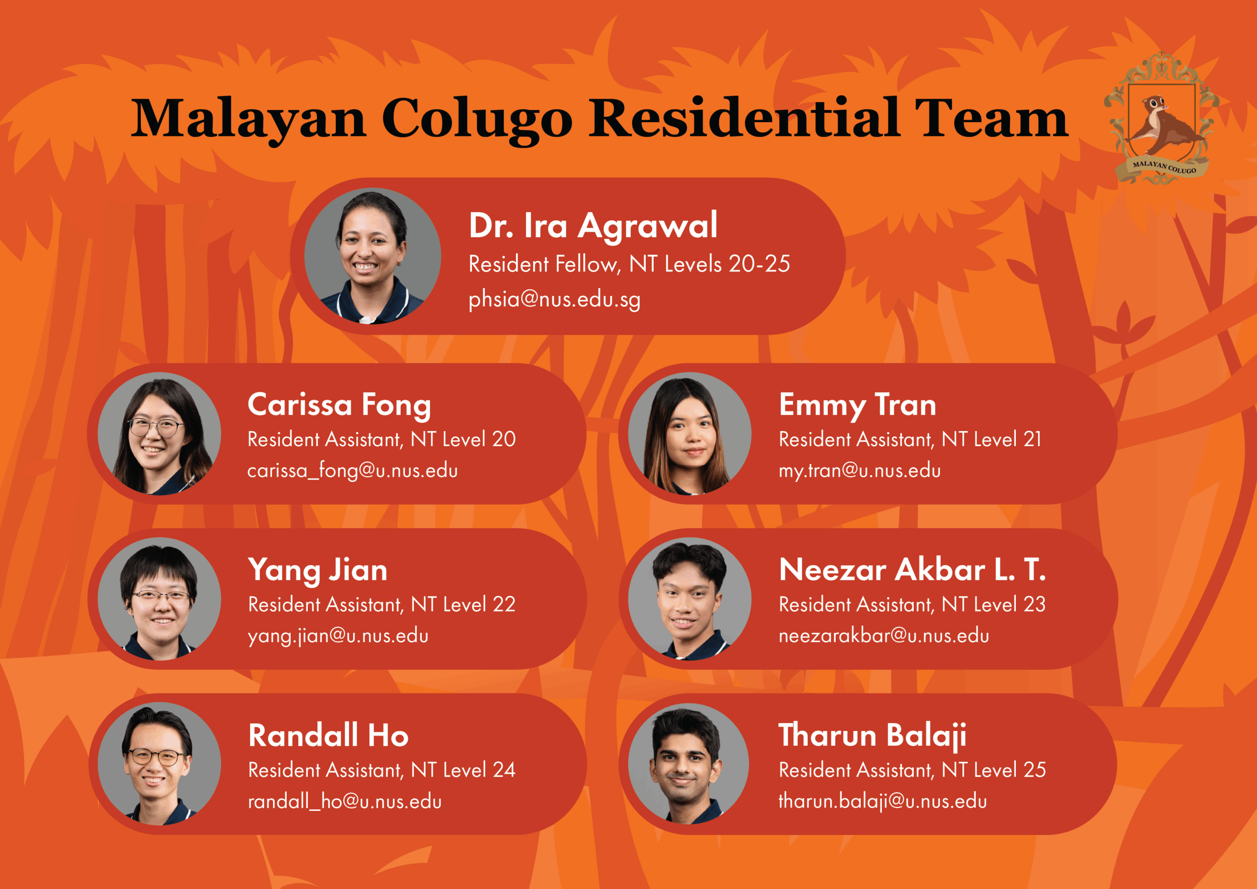 malayan-colugo_ay2526s22acb333764c241e08a2aab0ceb0c4507