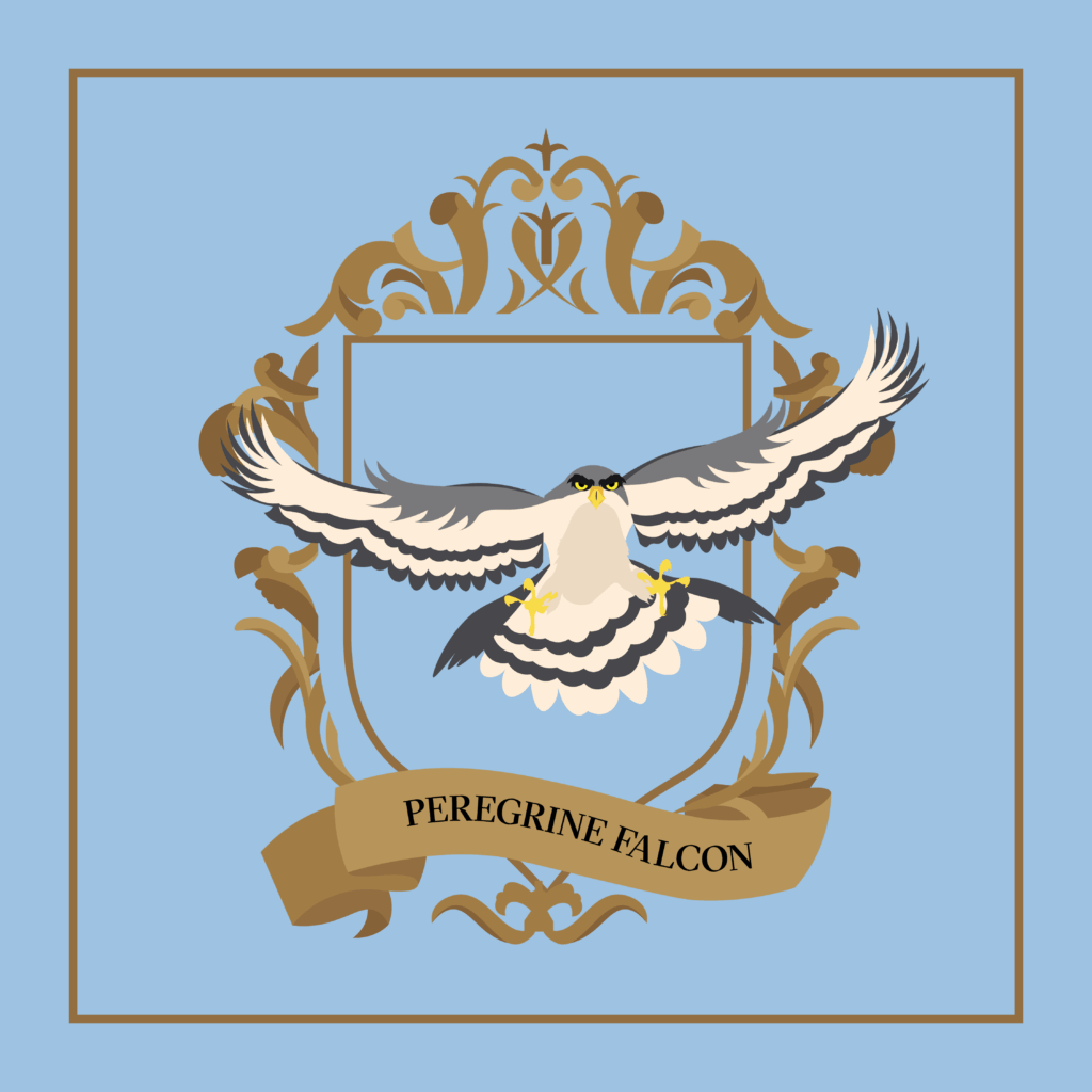n4-peregrine-falcon