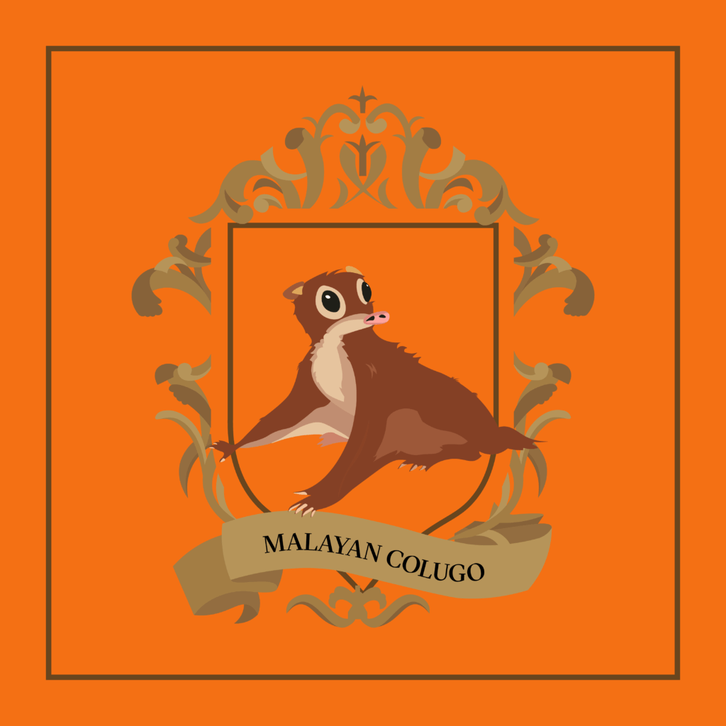 n8-malayan-colugoa95d0228e1c54fe8ba589954a1a18aee