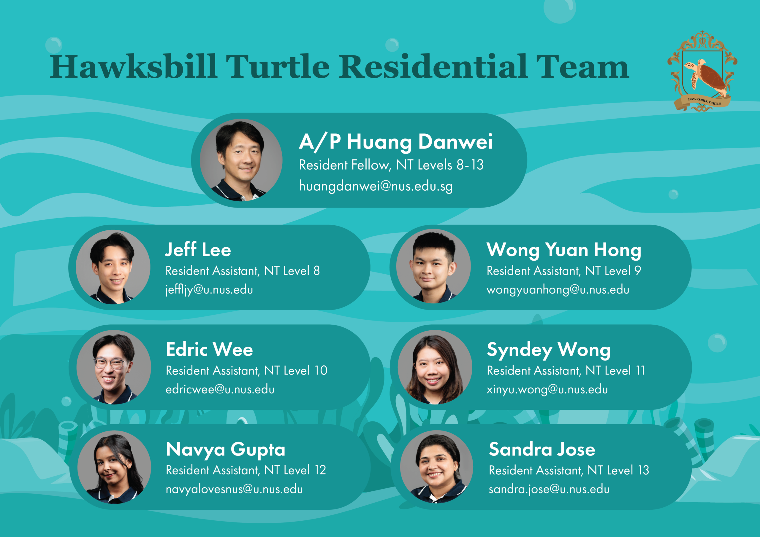 Hawksbill Turtle_ay2627s1